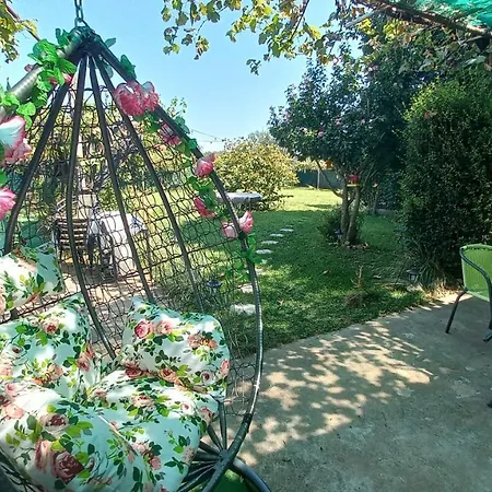 рупите , Relax