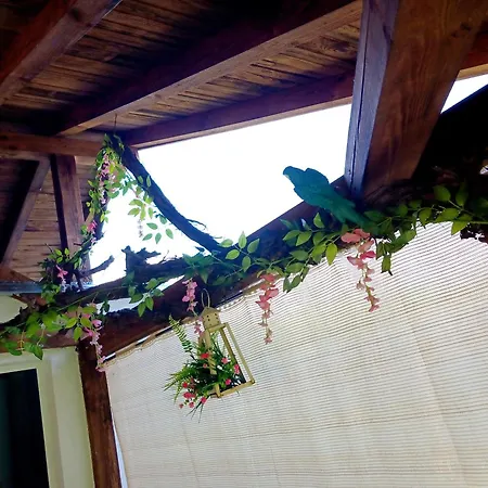 Pensión рупите , Relax Rupite