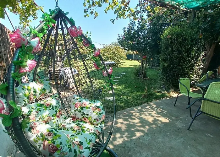 рупите , Relax