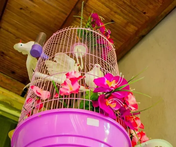 рупите , Relax Rupite